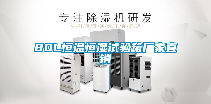 80L恒溫恒濕試驗箱廠家直銷