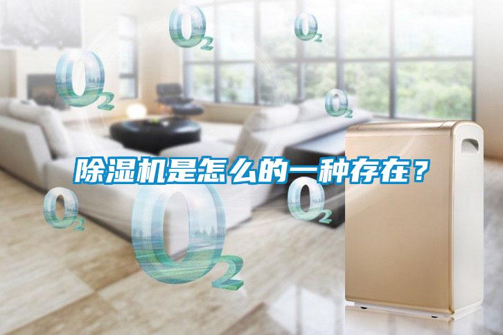 除濕機是怎么的一種存在？
