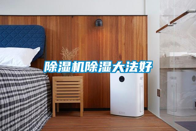 除濕機(jī)除濕大法好