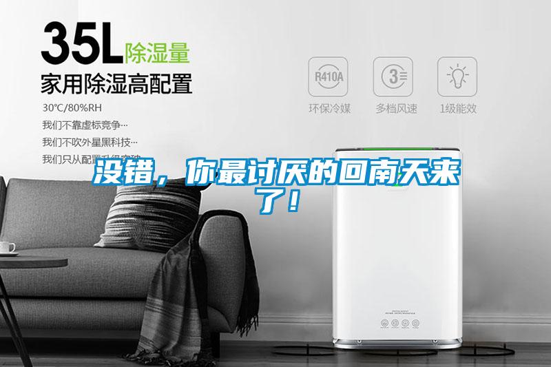 沒錯，你最討厭的回南天來了！