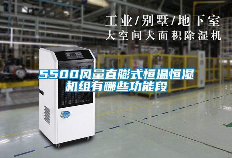 5500風(fēng)量直膨式恒溫恒濕機(jī)組有哪些功能段