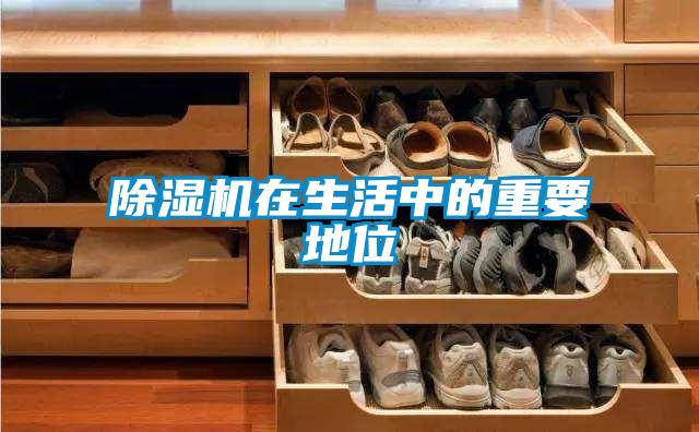 除濕機(jī)在生活中的重要地位
