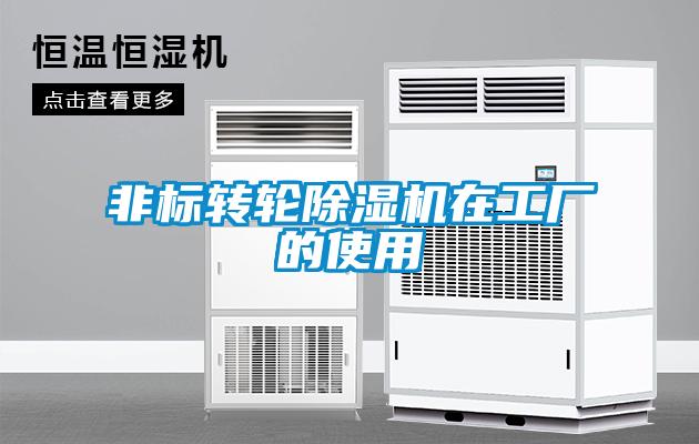 非標(biāo)轉(zhuǎn)輪除濕機(jī)在工廠的使用