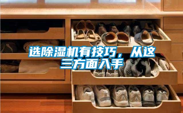 選除濕機有技巧，從這三方面入手