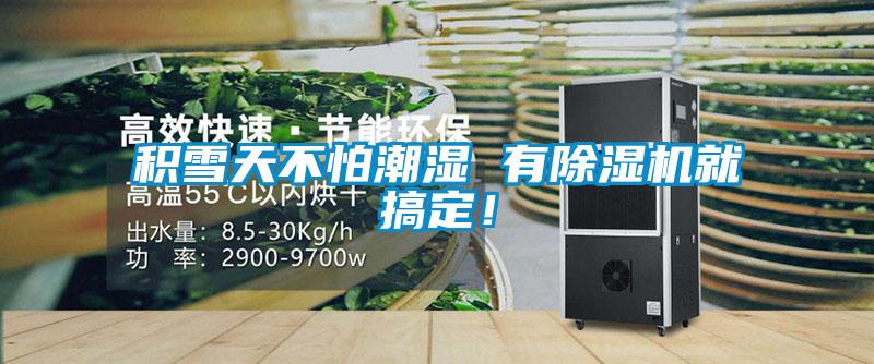 積雪天不怕潮濕 有除濕機就搞定！