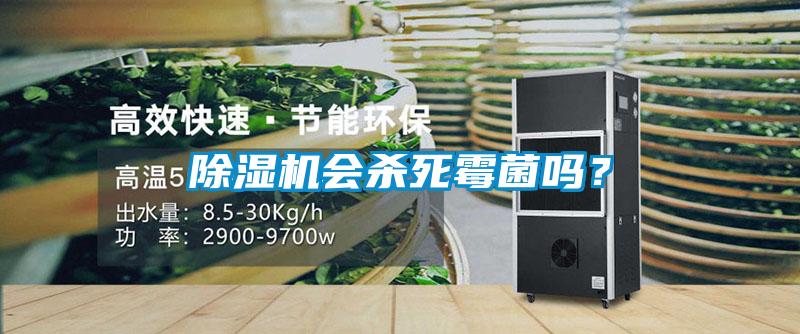 除濕機會殺死霉菌嗎？
