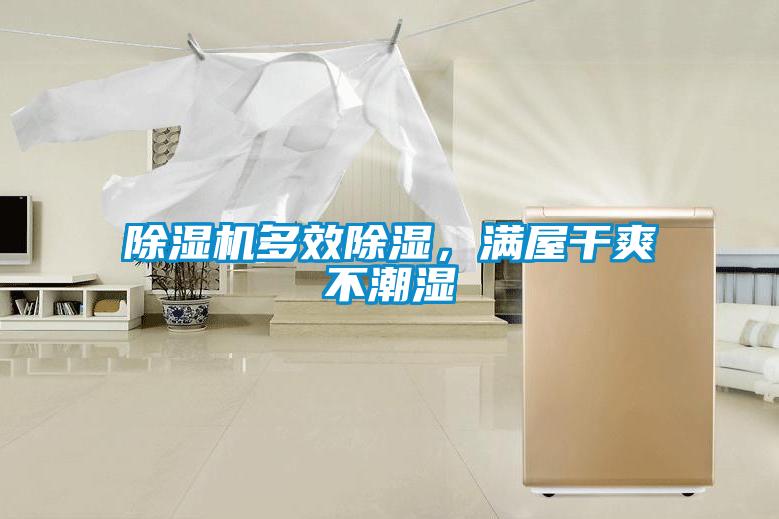 除濕機多效除濕，滿屋干爽不潮濕