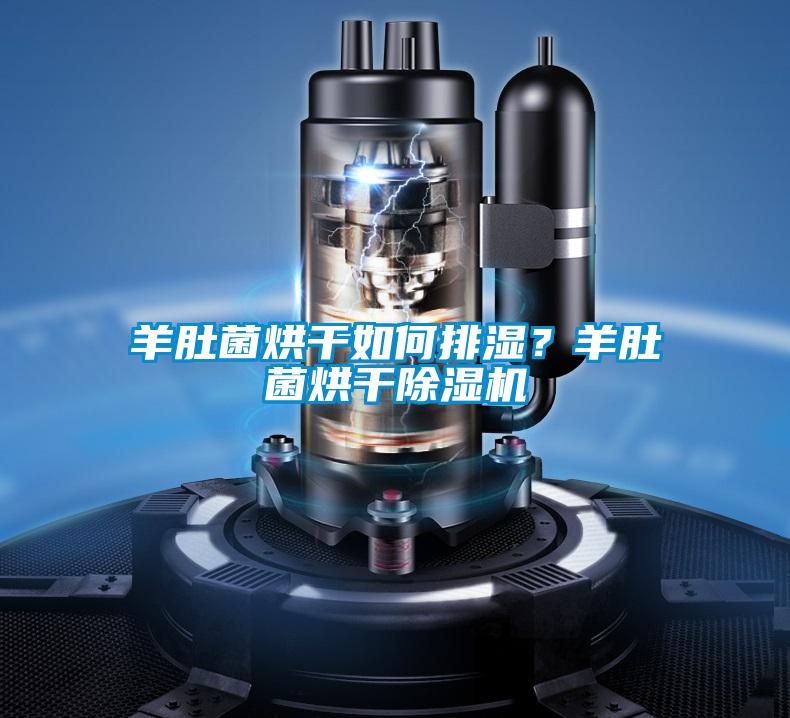 羊肚菌烘干如何排濕？羊肚菌烘干除濕機