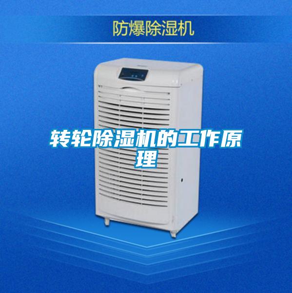 轉(zhuǎn)輪除濕機(jī)的工作原理