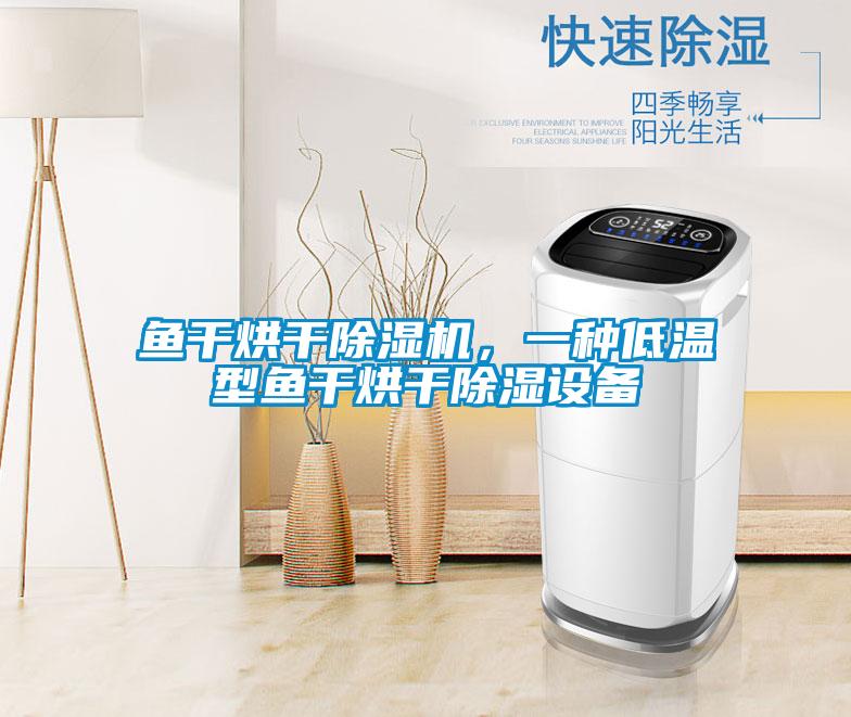 魚干烘干除濕機，一種低溫型魚干烘干除濕設備