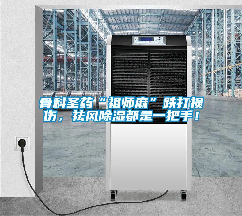骨科圣藥“祖師麻”跌打損傷，祛風(fēng)除濕都是一把手！