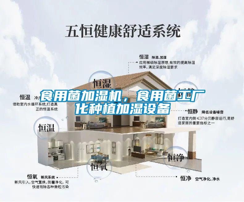 食用菌加濕機(jī)，食用菌工廠化種植加濕設(shè)備