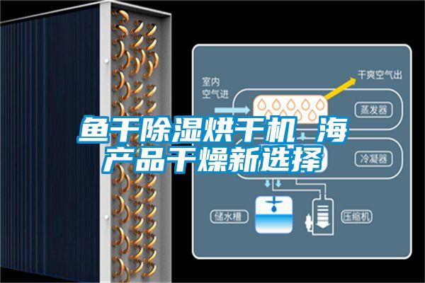 魚干除濕烘干機 海產品干燥新選擇