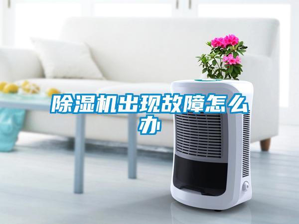 除濕機(jī)出現(xiàn)故障怎么辦