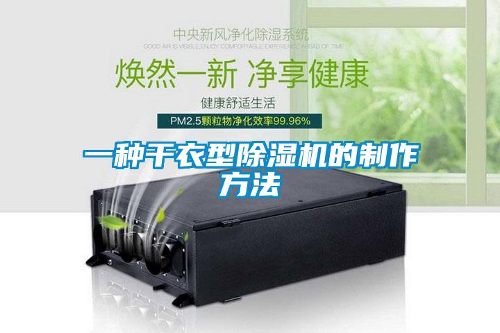 一種干衣型除濕機(jī)的制作方法