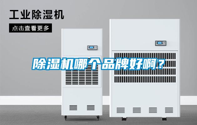 除濕機哪個品牌好啊?