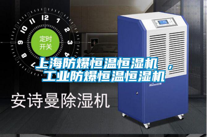 上海防爆恒溫恒濕機 ，工業防爆恒溫恒濕機