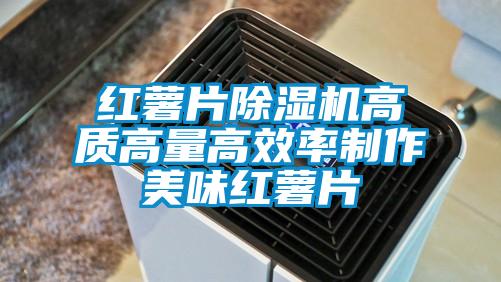 紅薯片除濕機高質高量高效率制作美味紅薯片