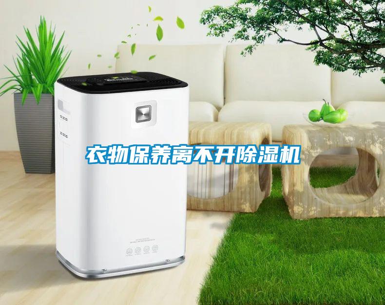 衣物保養離不開除濕機