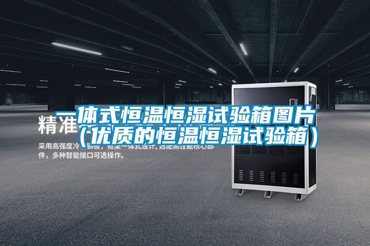 一體式恒溫恒濕試驗(yàn)箱圖片（優(yōu)質(zhì)的恒溫恒濕試驗(yàn)箱）