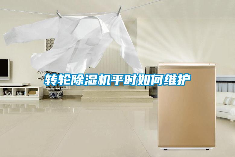 轉(zhuǎn)輪除濕機平時如何維護