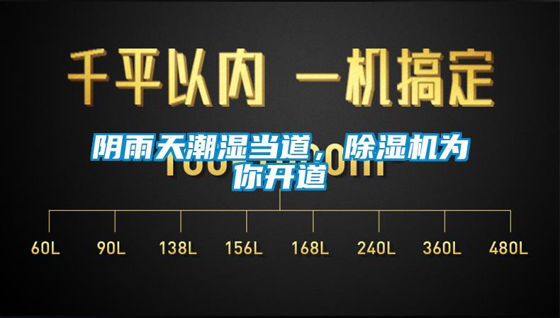 陰雨天潮濕當(dāng)?shù)溃凉駲C(jī)為你開道