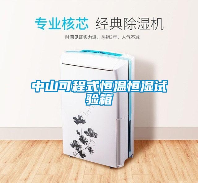 中山可程式恒溫恒濕試驗(yàn)箱