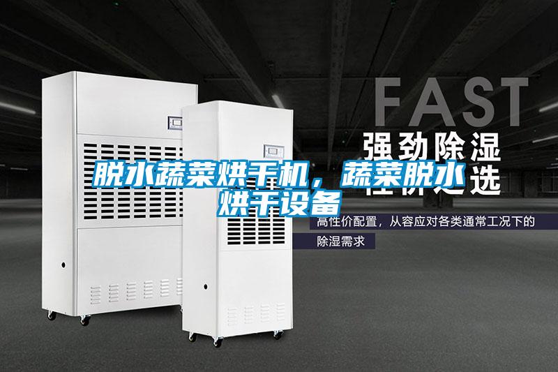 脫水蔬菜烘干機，蔬菜脫水烘干設備