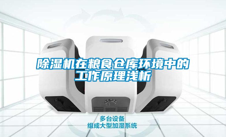 除濕機在糧食倉庫環境中的工作原理淺析