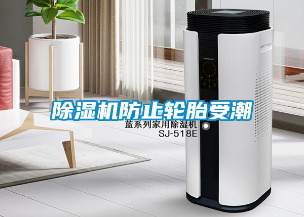 除濕機(jī)防止輪胎受潮