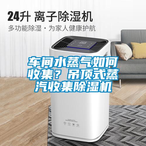 車間水蒸氣如何收集？吊頂式蒸汽收集除濕機