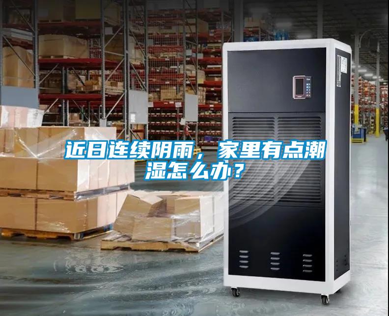 近日連續陰雨，家里有點潮濕怎么辦？
