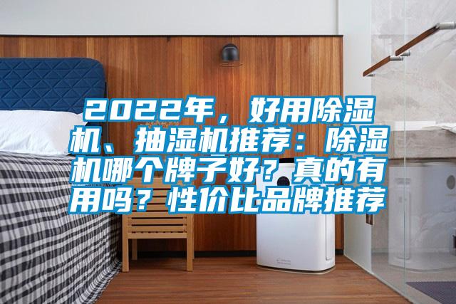 2022年，好用除濕機(jī)、抽濕機(jī)推薦：除濕機(jī)哪個(gè)牌子好？真的有用嗎？性價(jià)比品牌推薦