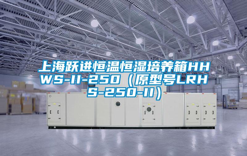 上海躍進恒溫恒濕培養(yǎng)箱HHWS-II-250（原型號LRHS-250-II）