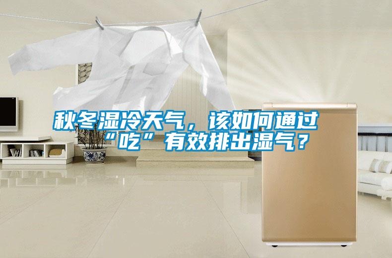 秋冬濕冷天氣，該如何通過“吃”有效排出濕氣？