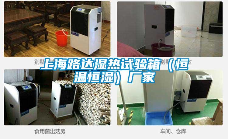上海路達濕熱試驗箱（恒溫恒濕）廠家