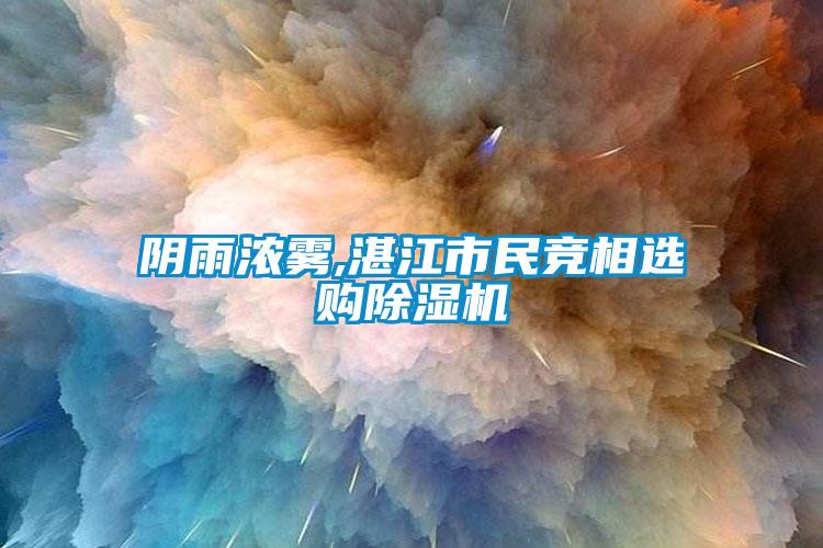 陰雨濃霧,湛江市民競相選購除濕機(jī)