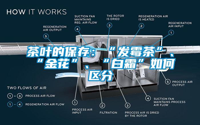茶葉的保存：“發霉茶”、“金花”、“白霜”如何區分