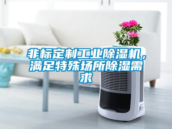 非標定制工業除濕機，滿足特殊場所除濕需求