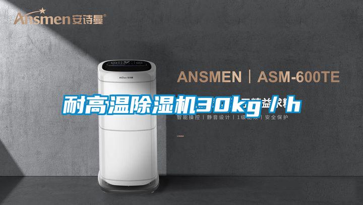 耐高溫除濕機(jī)30kg／h