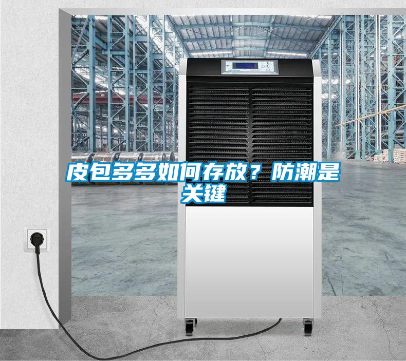 皮包多多如何存放？防潮是關(guān)鍵