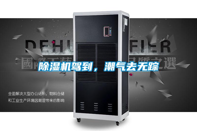 除濕機駕到，潮氣去無蹤