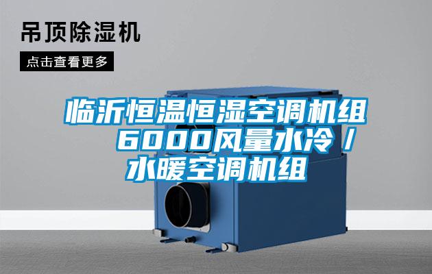 臨沂恒溫恒濕空調機組  6000風量水冷／水暖空調機組