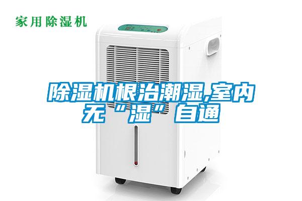 除濕機(jī)根治潮濕,室內(nèi)無“濕”自通