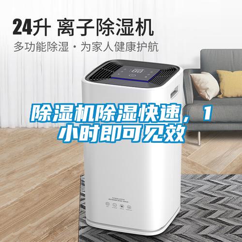 除濕機除濕快速，1小時即可見效