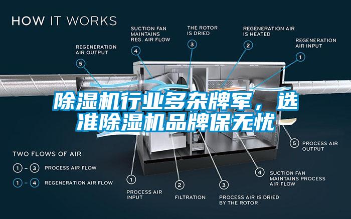 除濕機行業(yè)多雜牌軍，選準(zhǔn)除濕機品牌保無憂