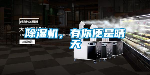 除濕機，有你便是晴天