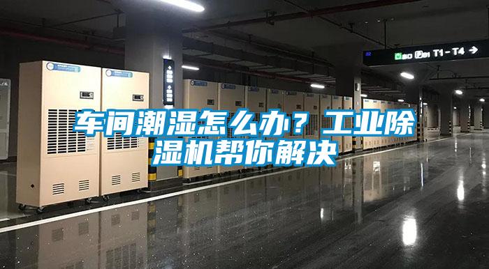 車間潮濕怎么辦？工業除濕機幫你解決