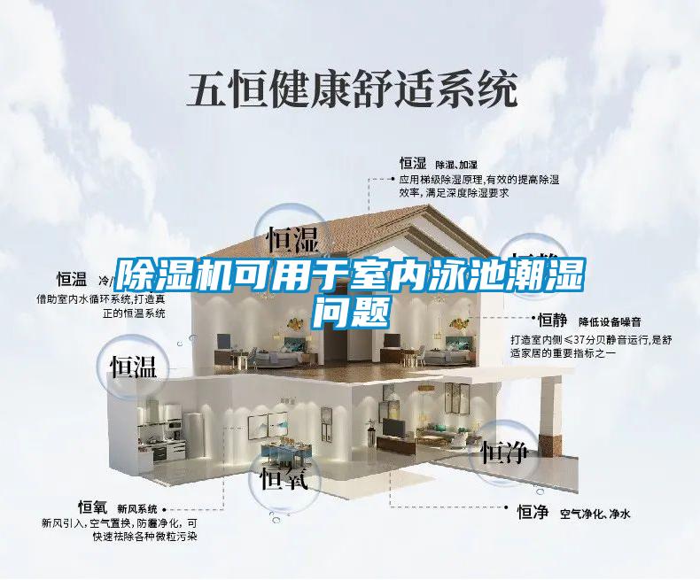 除濕機可用于室內(nèi)泳池潮濕問題