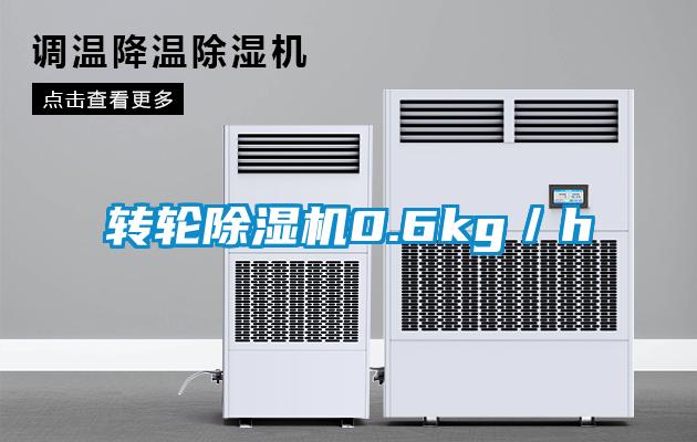 轉(zhuǎn)輪除濕機(jī)0.6kg／h